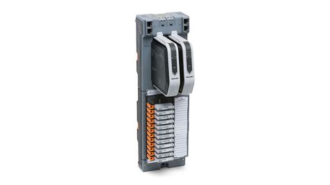 deltav electronic marshalling|deltav charm types.